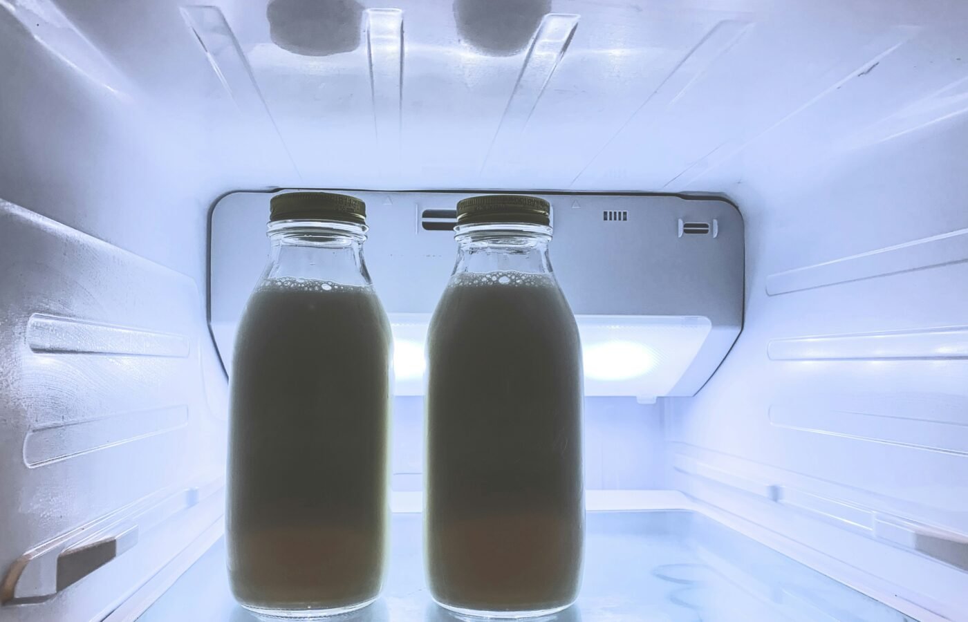 Propane Refrigerator Buying Guide: Brands, Real Running Costs, and What Goes Wrong