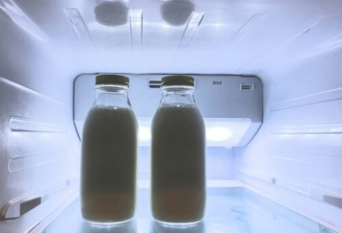 Propane Refrigerator Buying Guide: Brands, Real Running Costs, and What Goes Wrong