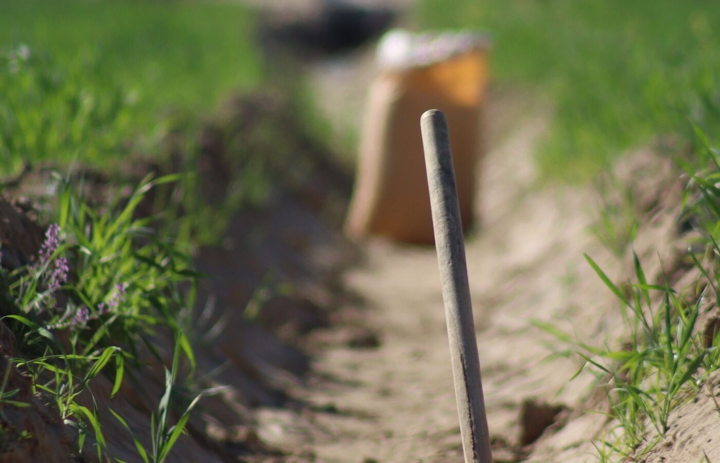 Drain Field Replacement Cost: What It Runs, and What to Check Before You Spend It