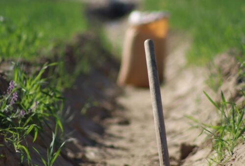 Drain Field Replacement Cost: What It Runs, and What to Check Before You Spend It