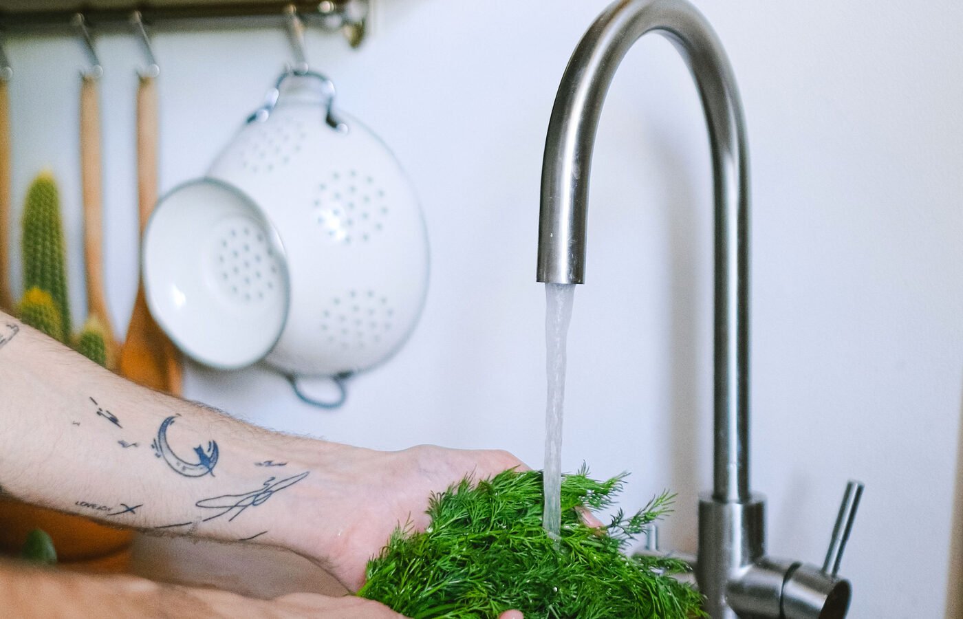 Well Water vs City Water: Which Actually Costs More, and What Nobody Warns You About