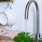 Well Water vs City Water: Which Actually Costs More, and What Nobody Warns You About