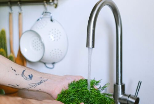 Well Water vs City Water: Which Actually Costs More, and What Nobody Warns You About
